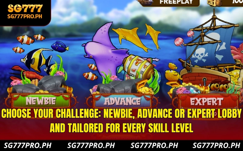 choose-your-challenge-newbie-advance-or-expert-lobby-and-tailored-for-every-skill-level